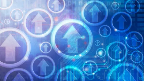 NZ start-ups expecting strong growth