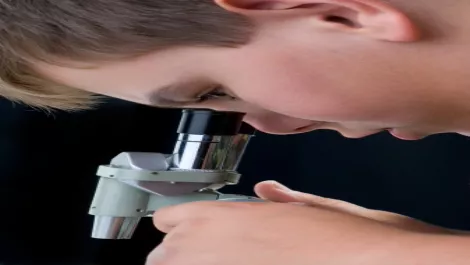 Science hub wins at World Summit Awards