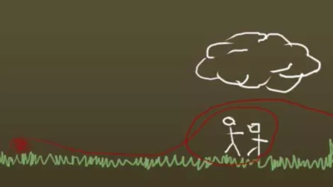 Kiwi food for thought