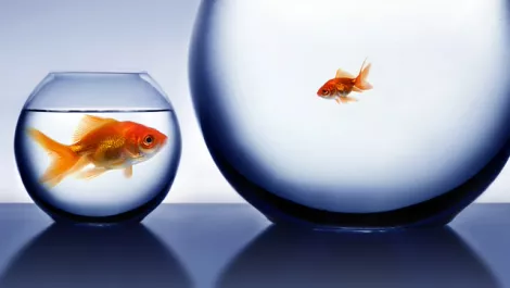 Bigger isnt always better!