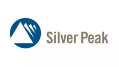 Silver peak logo