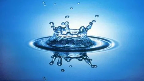 Intergen & Qual IT testing the waters