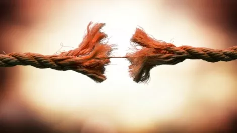 Does Chorus have a weak UFB channel strategy?