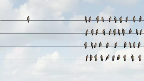 When should you price match?