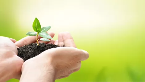 Uncovering growth opportunities in the transforming business analytics market