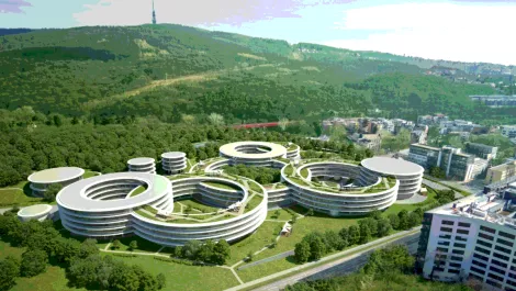 Screen shot 2017 08 17 at 12