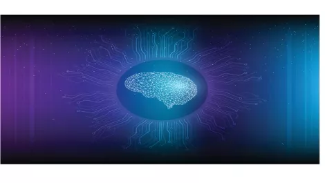 Xero launches machine learning automation to improve coding accuracy for SMBs