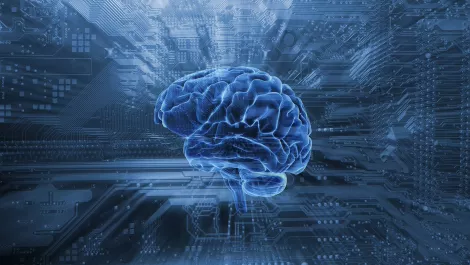 Thinkstockphotos 825469042