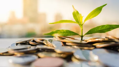 Screen shot 2019 01 16 at 10