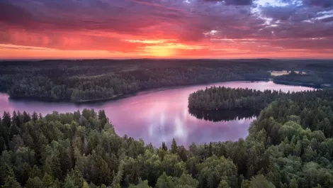 Gettyimages 846871624