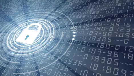 IT leaders prioritising automation, Zero Trust and API-based security investments