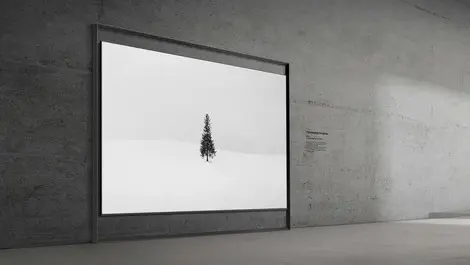 Samsung unveils 130 inch micro rgb tv flagship at ces